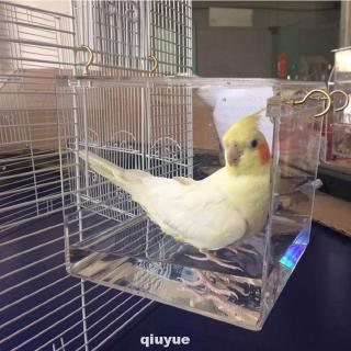 early neutering cats