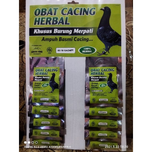 Obat cacing khusus merpati