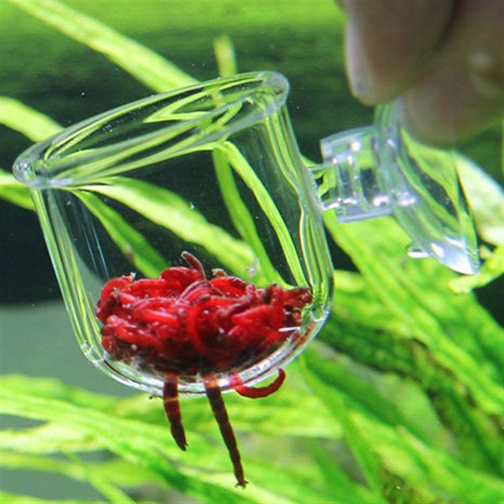 Quinton Plant Cup Acrylic Vas Berkebun Dekorasi Aquarium Tangki Ikan