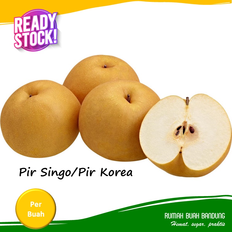 Pir Singo Korea Segar Manis Renyah 1 Pcs