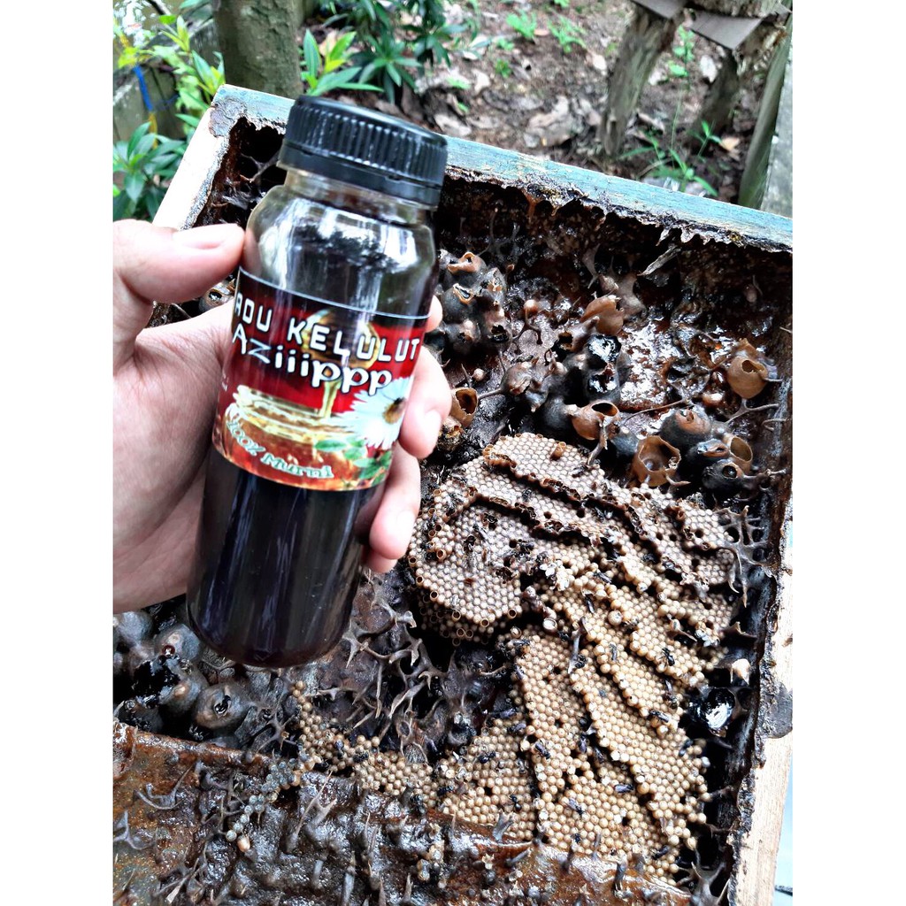 

Madu Kelulut Hitam 330 gram azip / madu Klanceng / madu hutan Kalimantan madu murni & asli