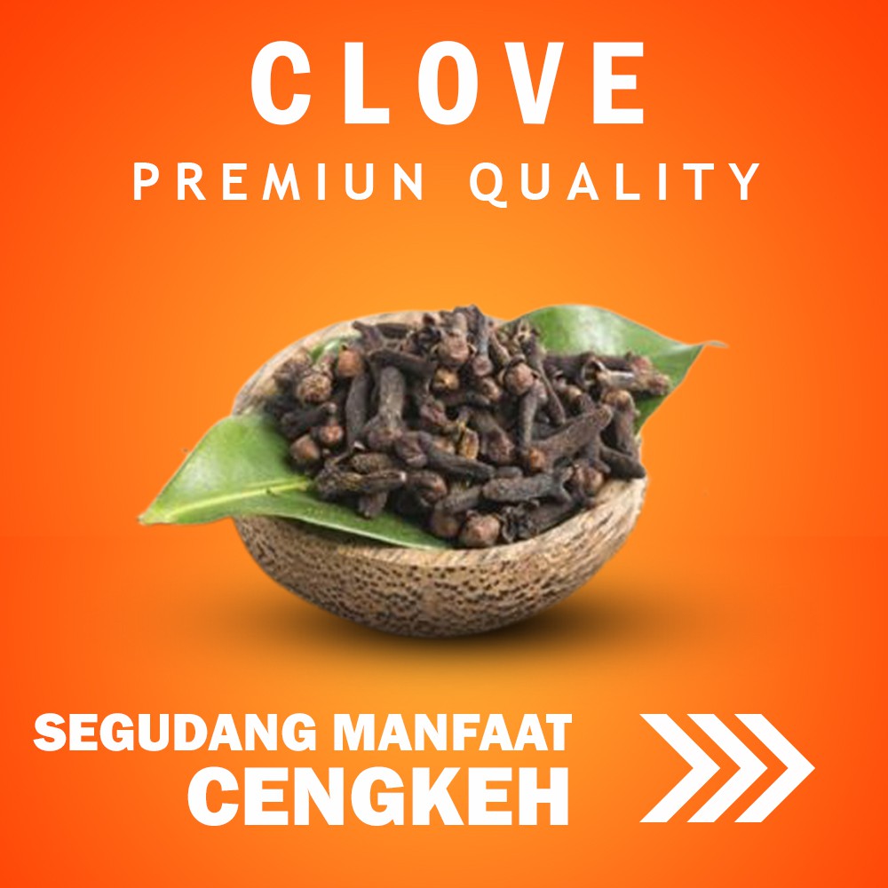 

Rempah Cengkeh Kering / Obat Herbal Sakit Gigi Mual Batuk Asam Urat Nyeri Sendi Diabetes