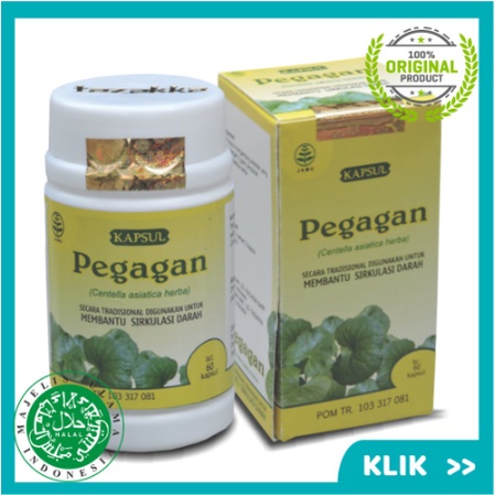 Kapsul Herbal Pegagan TAZAKKA isi 60 kapsul - Brain Nutrion Meningkatkan Kecerdasan Otak Nutrisi Anak Suplemen Anak Cerdas
