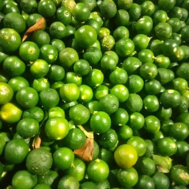 Jeruk kasturi/limau kasturi/cui/konkit