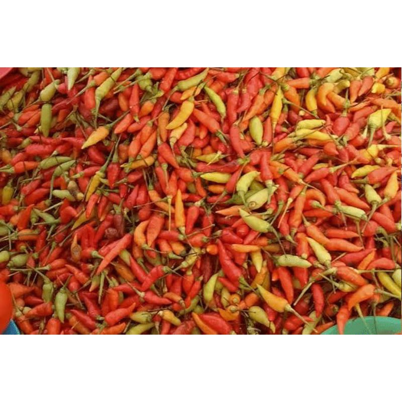 

Cabe rawit, lombok merah, cabai merah fresh siap kirim