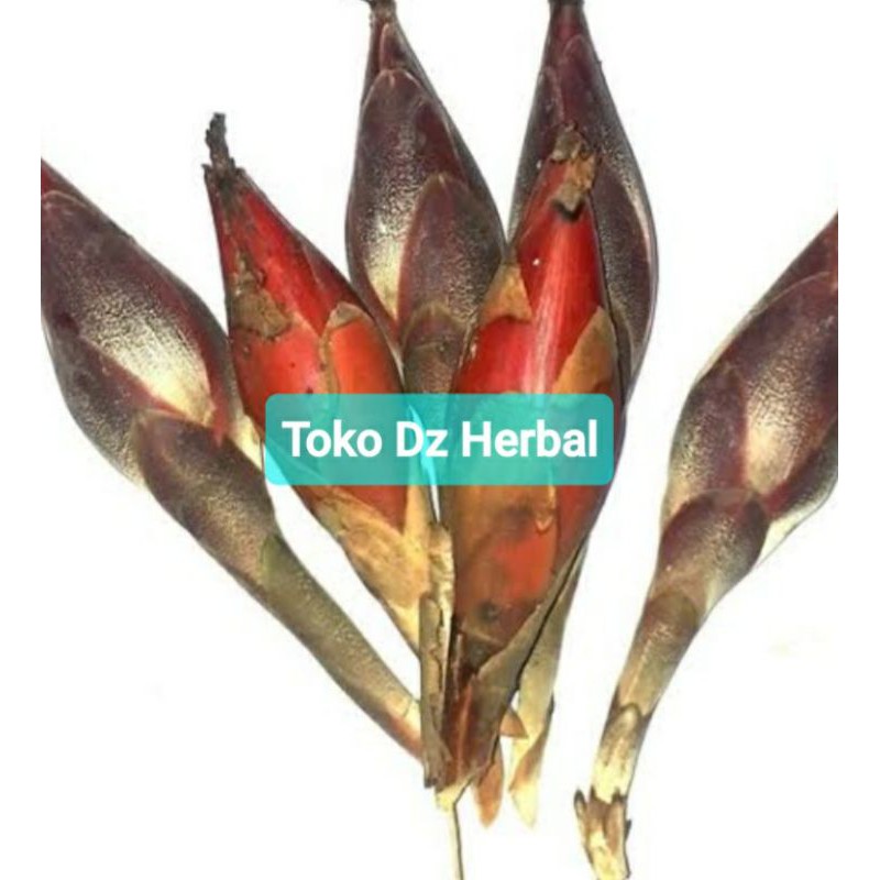 

Buah galoba goloba buah pining bawang 1 kg-az