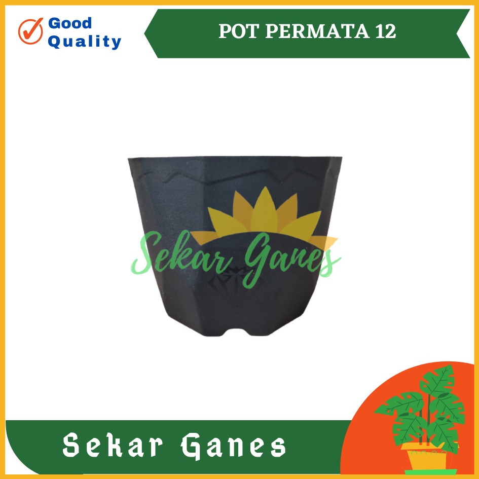 Pot Permata 12 Hitam DA 10,5cm By Garden Of Love Pot Plastik Kaktus Murah Uk Mirip Pot Tawon 10cm