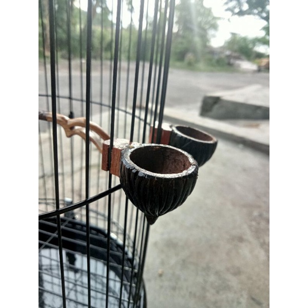 Cepuk Tempat Wadah Pakan Burung Pleci Konin DLL