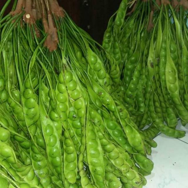 

Pette lokal harga per ikat isi 10 lonjor..