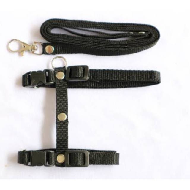 Harness hernes tali kucing musang kelinci anjing kecil