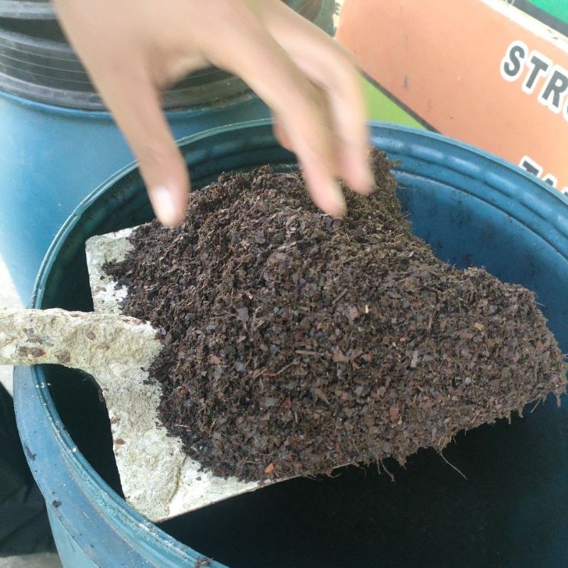 Kompos organik ori daun