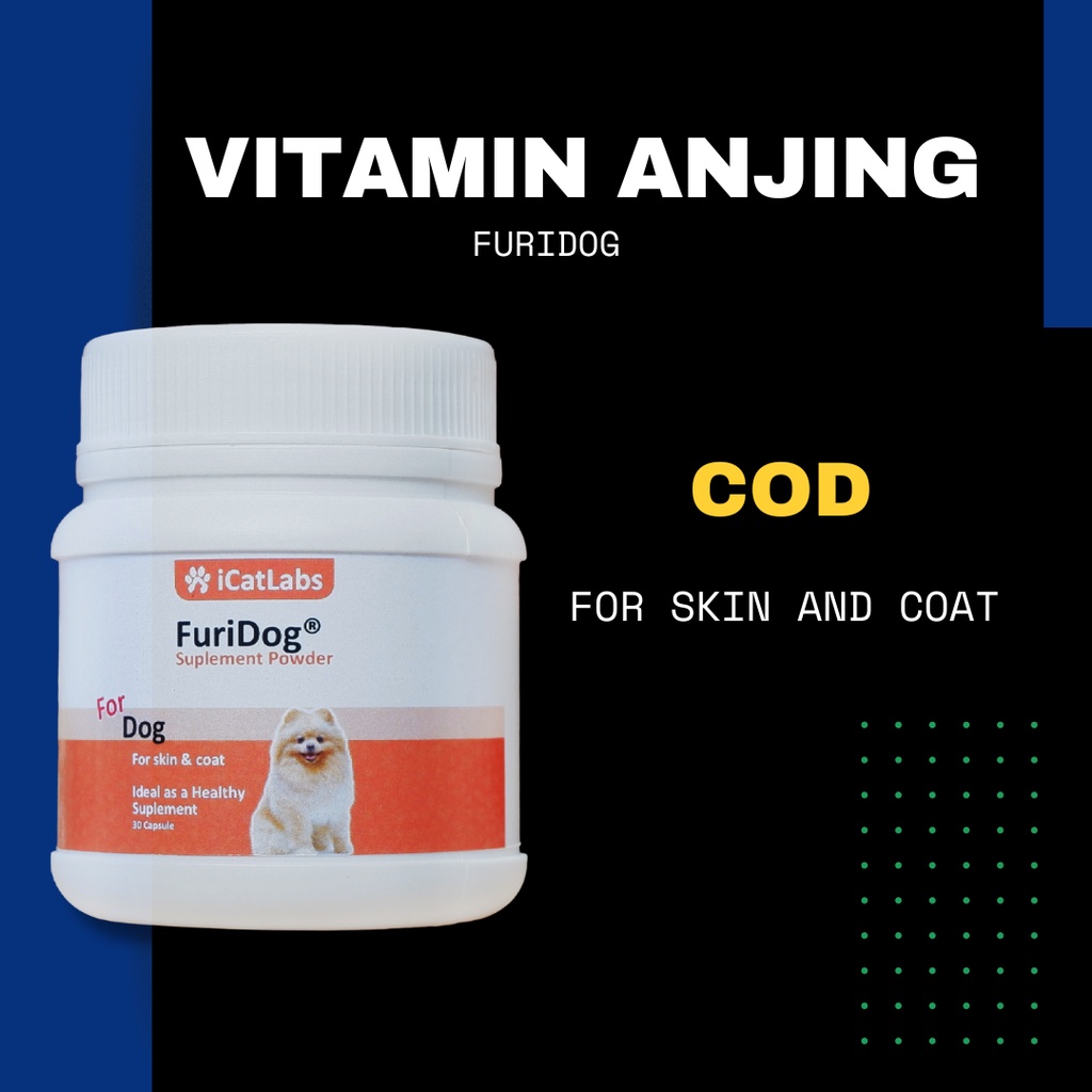 VITAMIN BULU RONTOK ANJING