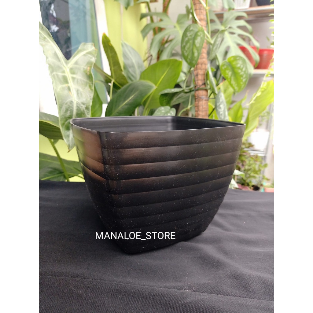 POT BUNGA KOTAK. POT BUNGA SEGI, POT BUNGA PLASTIK MODEL KOTAK, POT BUNGA HITAM