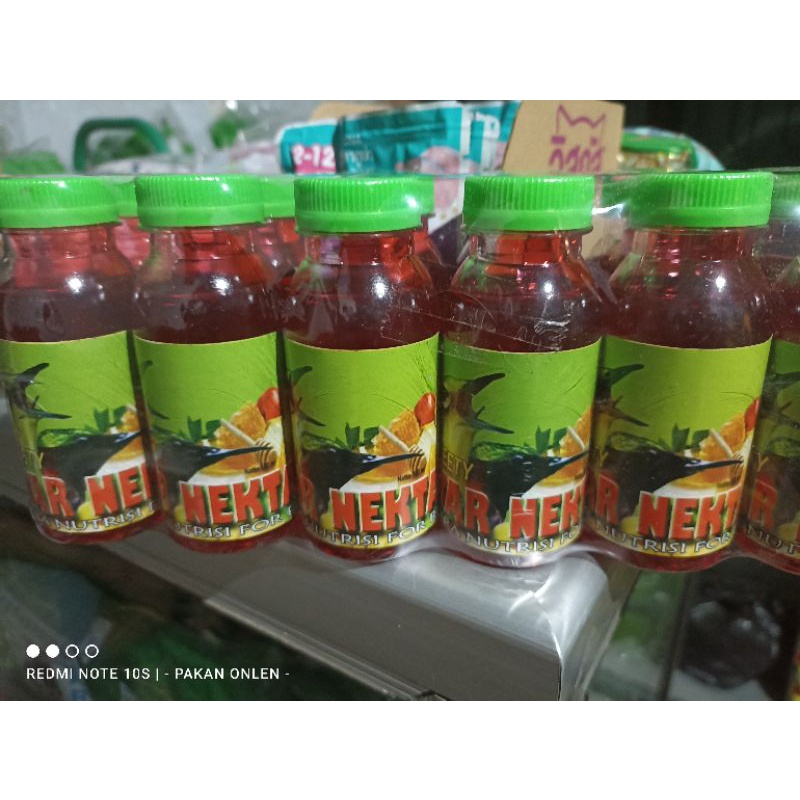 Nektar Colibri , Konin , Sogon