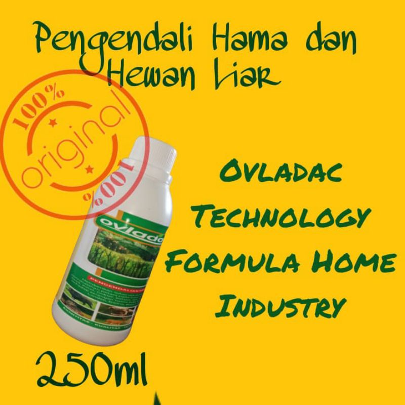 RACUN PENGUSIR KERA OVLADAC 250 ML / RACUN MONYET