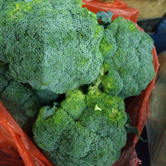 

[500gr] Brokoli Import