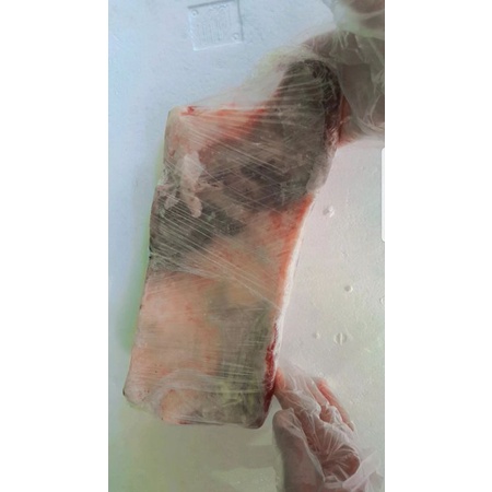 

164 Backrib