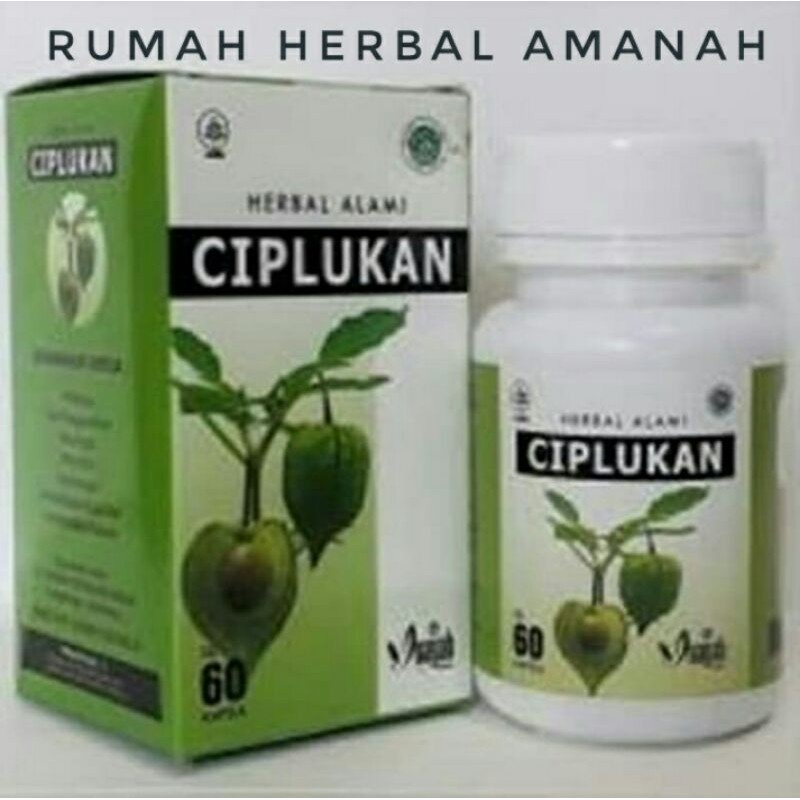 Daun Ciplukan Kapsul Ekstrak Daun Ciplukan Original