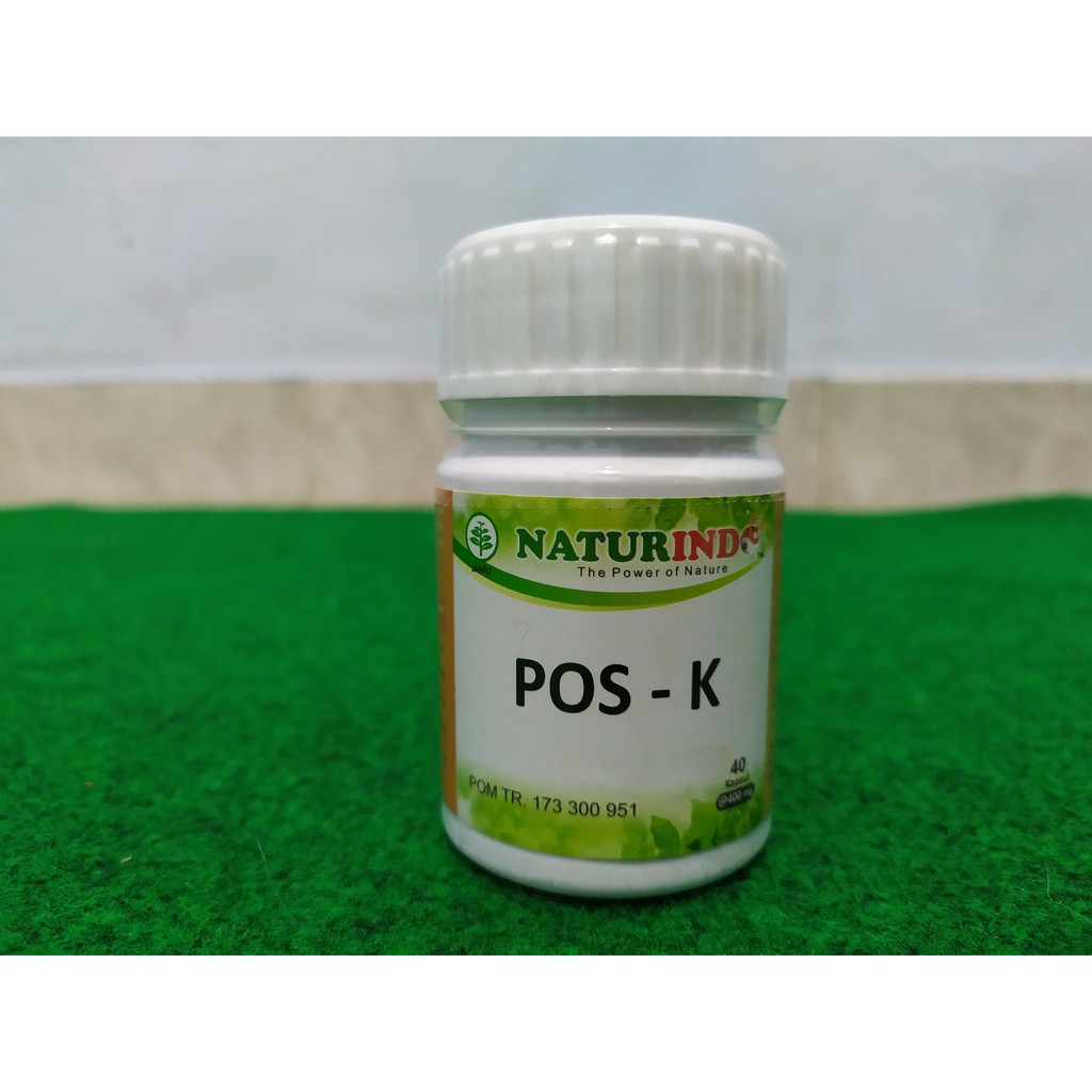 Naturindo Pos - K