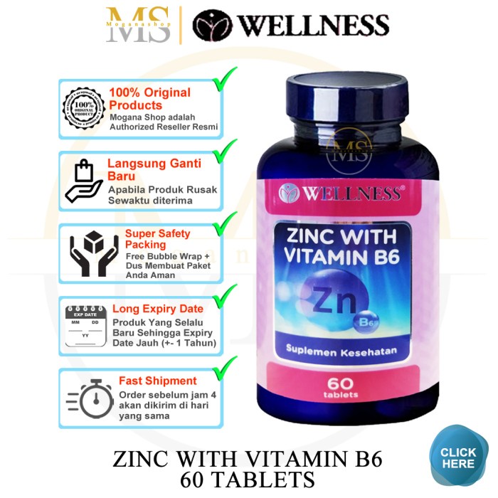 Kesehatan - Wellness Zinc With Vitamin B6 Suplemen Kesehatan Jantung Hati
