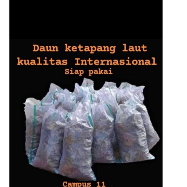 

I9L Daun ketapang kualitas Exspor 500gr tanpa minyak LF8