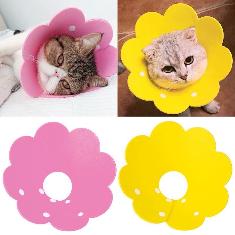 Corong Penutup - Collar Pelindung Leher Kucing anjing kelinci lucu