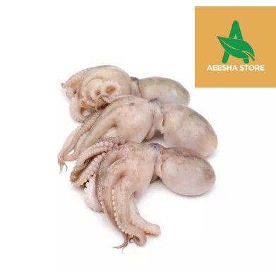 

Baby Octopus Bayi Gurita Segar 500 gram AEESHASTORE