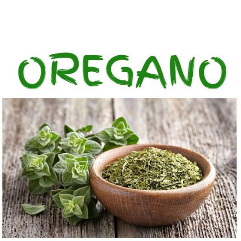 

Oregano Kering / Flakes / Herb