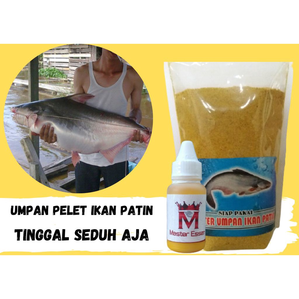 umpan untuk ikan patin di sungai