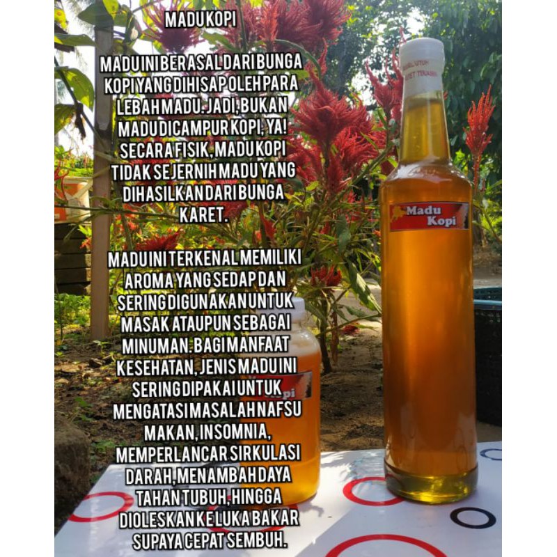 

madu.bunga kopi 250gram