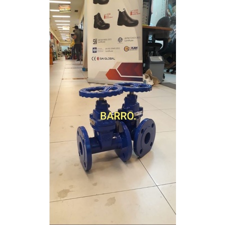Gate Valve 3" PN16 Cast Iron