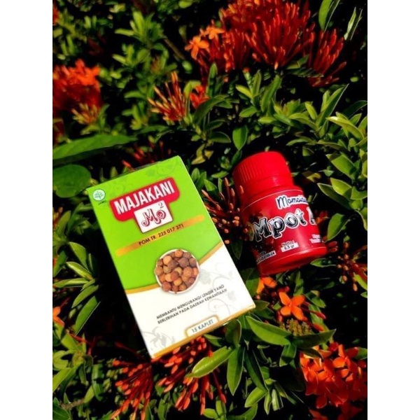 PAKET MPOT AYAM + MAJAKANI BER BPOM ORIGINAL