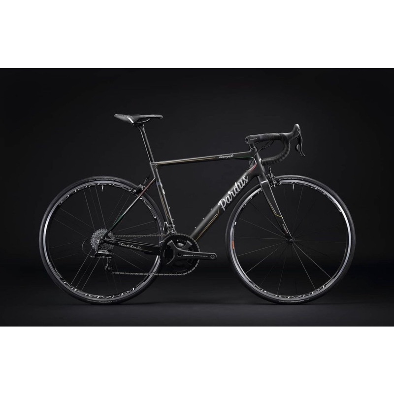 sepeda balap roadbike 700c Pardus Robin SL Campagnolo Centour
