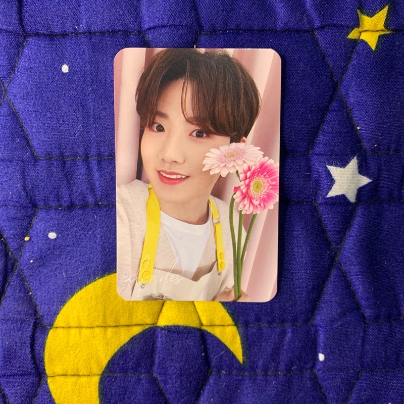 RPC (Random PC) Blooming Treasure Junkyu Asahi Haruto Hyunsuk Jihoon Jaehyuk Yoshi Doyoung Yedam Jun