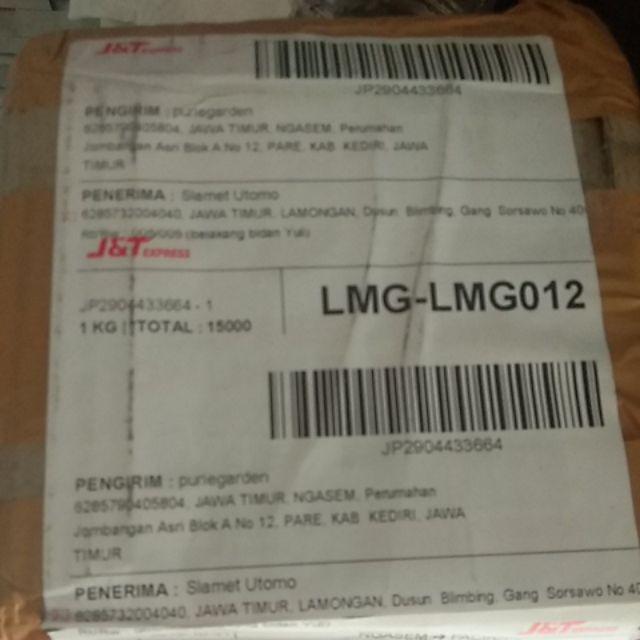 Pompa Hidroponik Untuk Nft Dft Tower 2meter