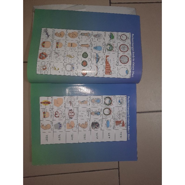 

Buku Kedokteran: Embriologi "LANGMAN" Edisi 12