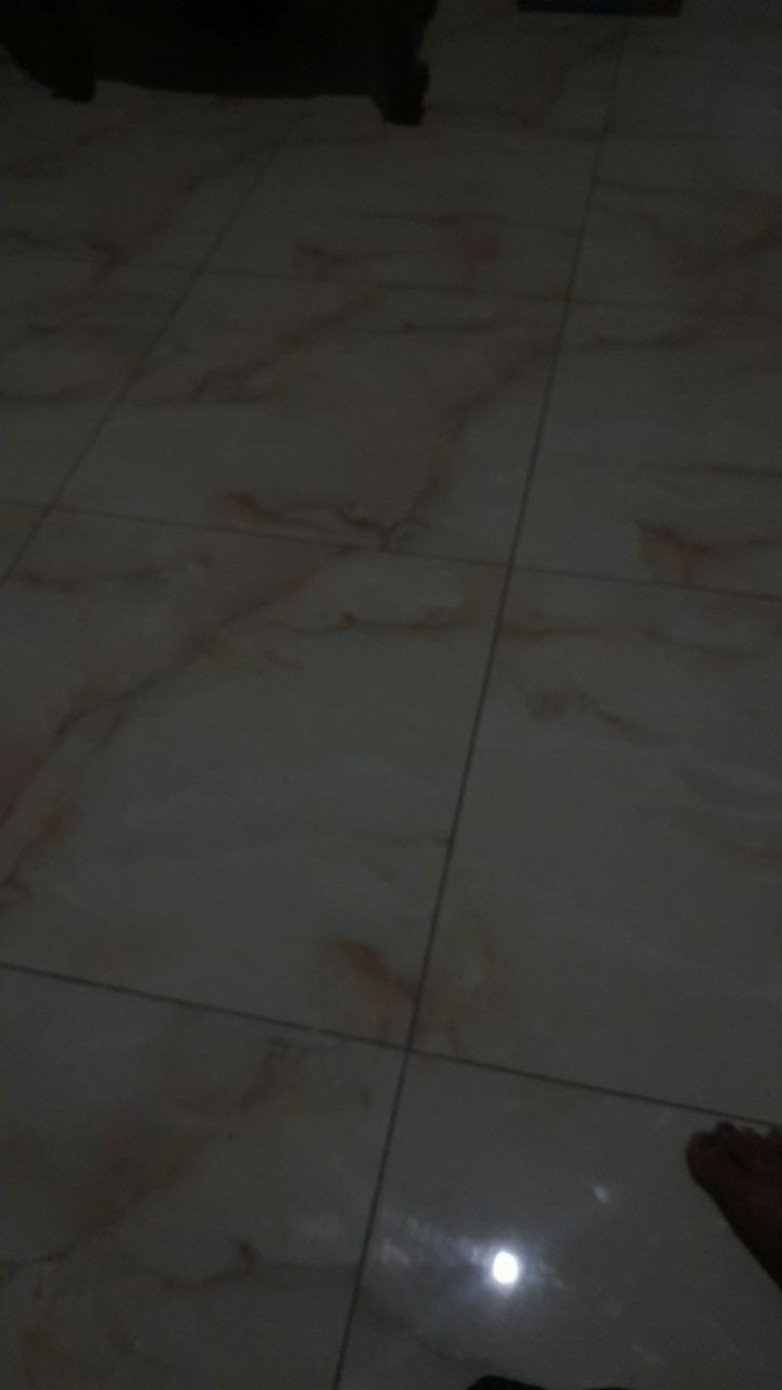 Karet Presto 26 Cm Untuk Ukuran Panci Presto 26 Cm/10 Liter