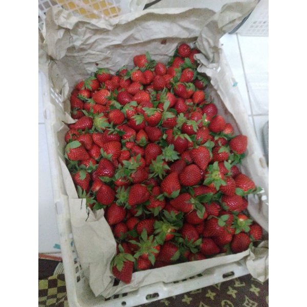 

stroberry fresh ciwidey Grade B ( bandung only )