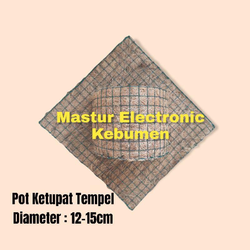 POT KETUPAT TEMPEL DINDING POT BUNGA HIASAN RUMAH