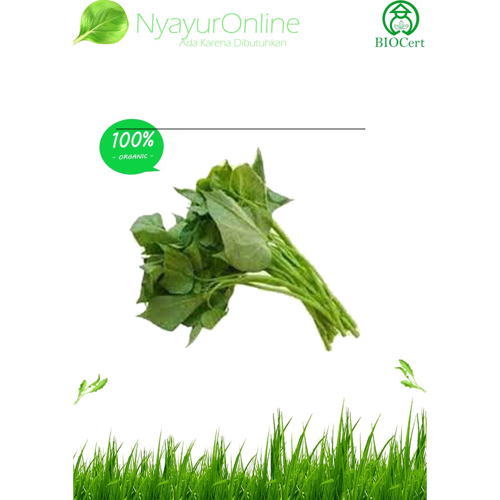 

Daun Ubi Jalar Organik 300 gram