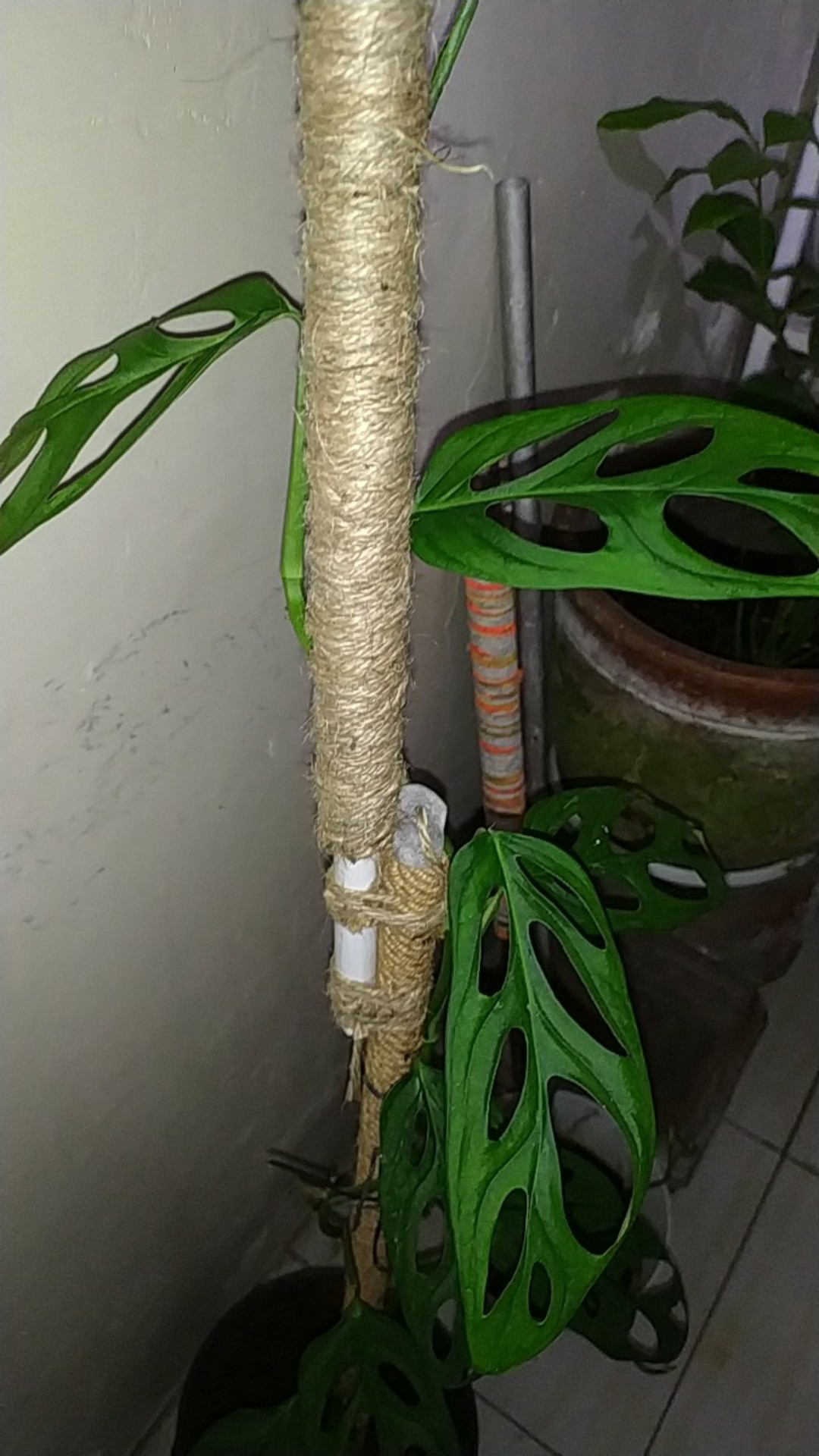 Tali Goni Rami 2 Ply   3 Ply  500 Meter 500 Gr