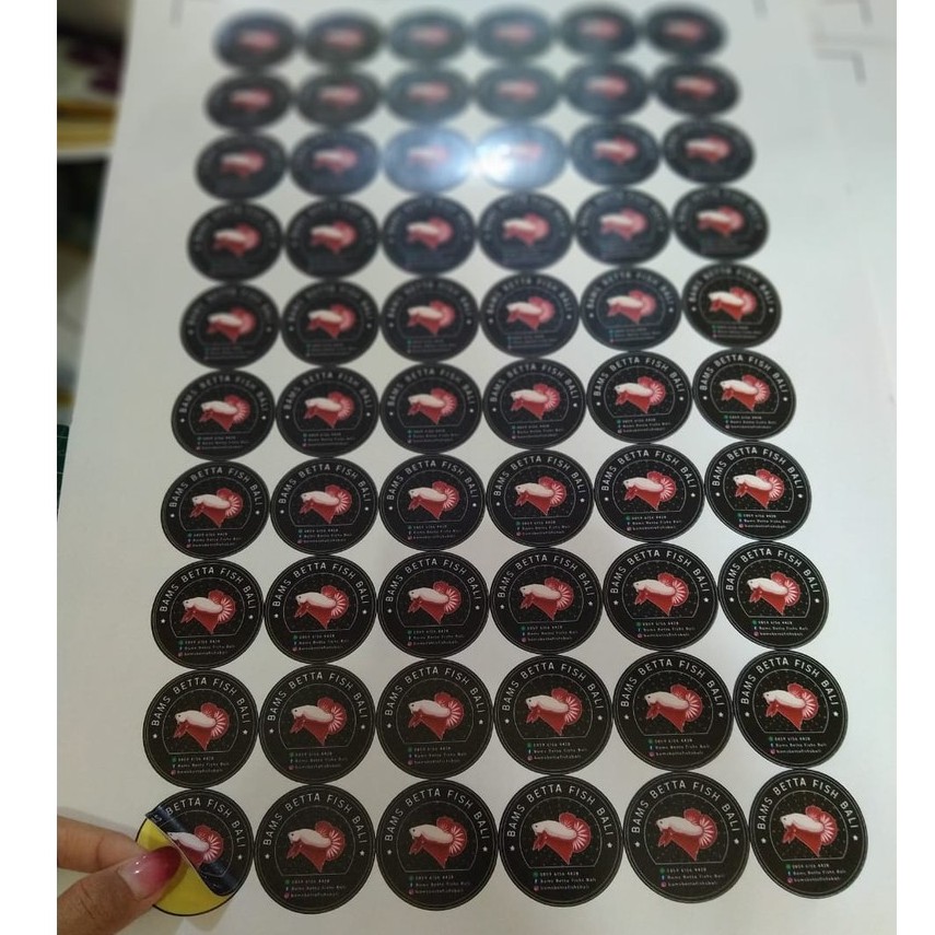 

Cetak Stiker Label Makanan / Label Kemasan + Cutting / Cetak Stiker Label Online Shop