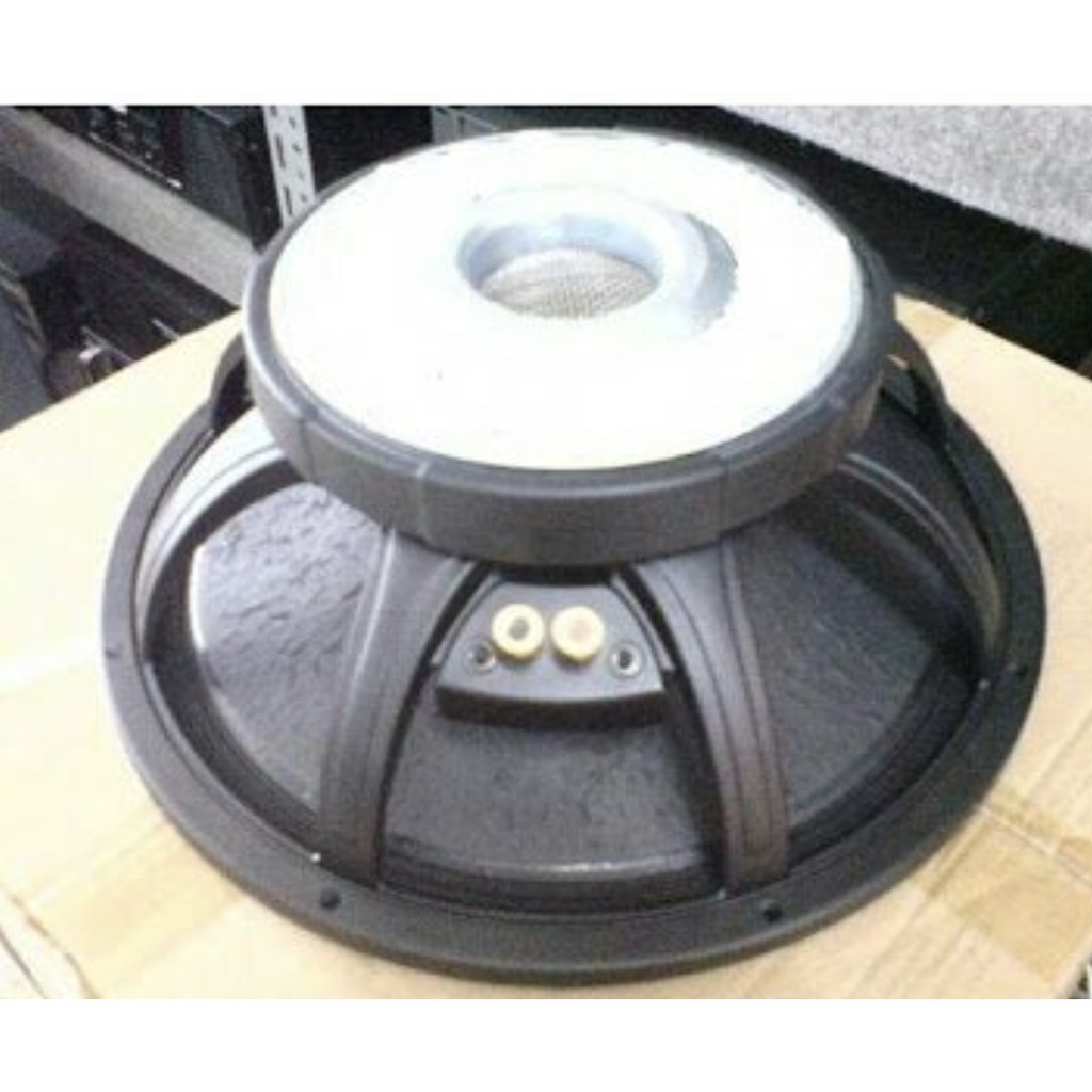 speaker bw 15 inch