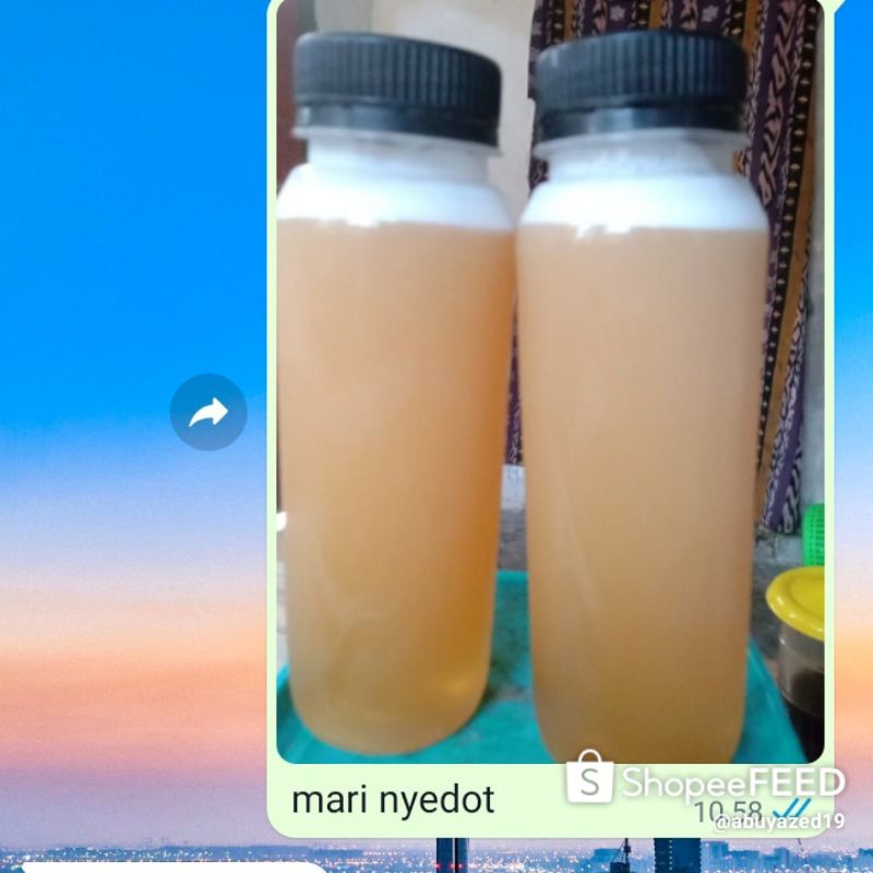 

madu trigona / madu klanceng