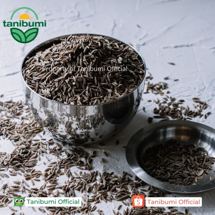 

Siap Kirim Cumin Seed | 1Kg | Jintan Putih | Jeera | Biji Jinten Premium - Tanpa Bubble