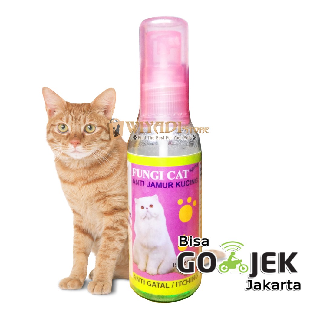 Obat Luka Koreng Scabies Gudik Kudis Jamur - FungiCat 60ml