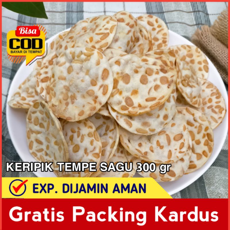 

Keripik Kripik Tempe Sagu Kedelai 300 Gram Gurih Enak Renyah Baru Kiloan Curah