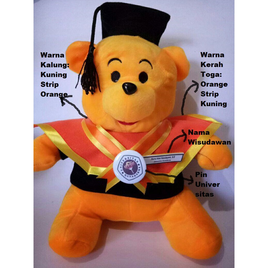 Boneka Wisuda Winnie the Pooh Orange Kado Hadiah Skripsi Graduation Kelulusan Kampus Jakarta Depok