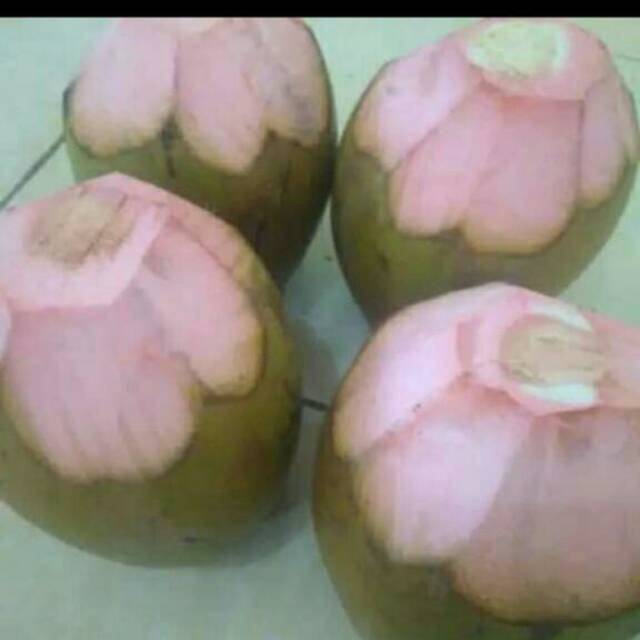 

Kelapa ijo
