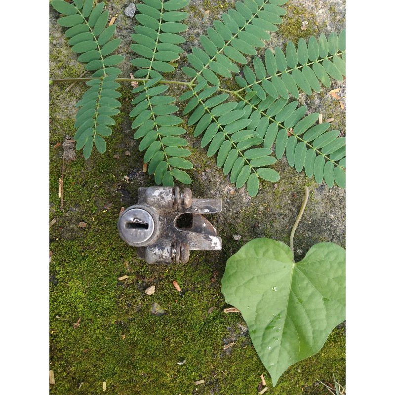 kunci jog yamaha v80 original